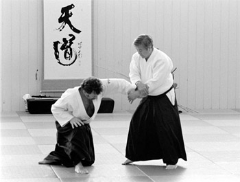 Aikido - Jubiläumslehrgang - Shimizu Sensei