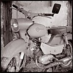 Holger - Simson Spatz