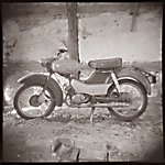 Holger - Simson Spatz