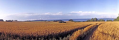 Rügen Groß Stresow