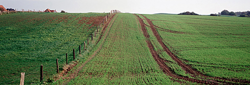 Rügen Landschaft